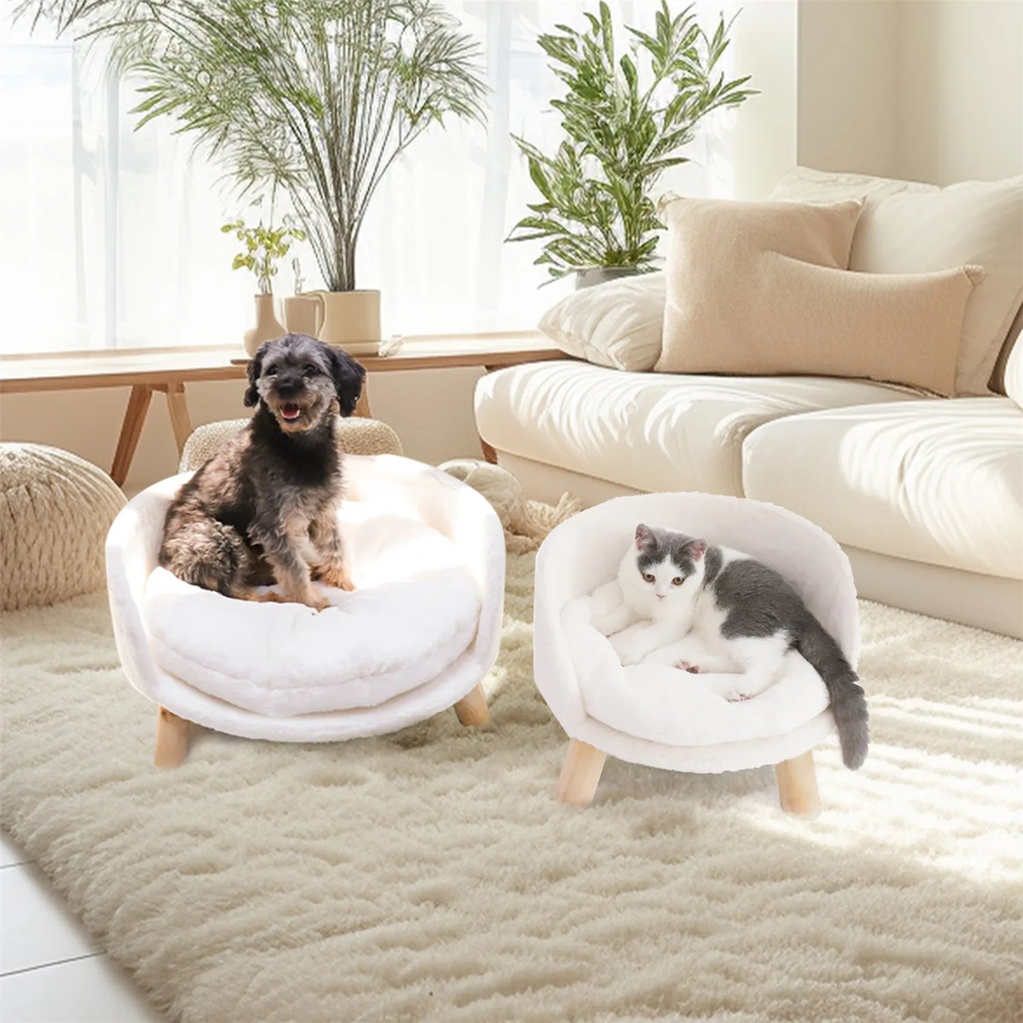 Bingopaw Raised Pet Sofa Bed With Removable Waterproof Cushion